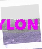 normal_NYLON_x_CANON_POWERSHOT_DEBBY_RYAN5B21-04-395D.JPG